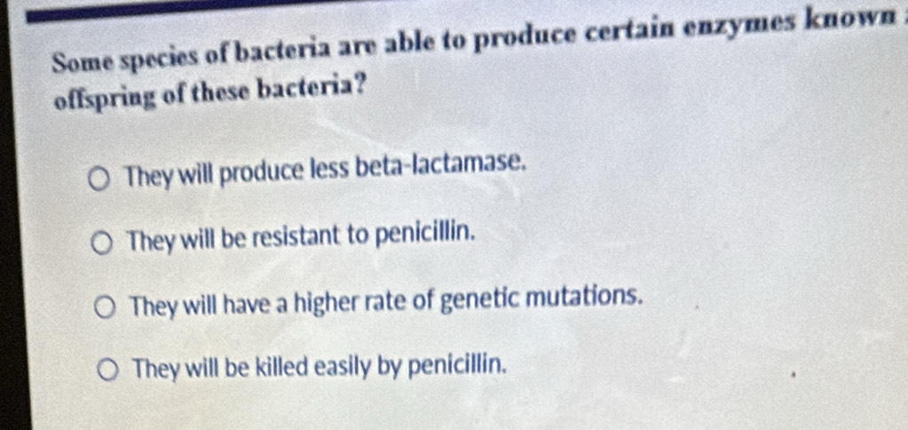 Some species of bacteria are able to produce certain enzymes known 
offspring of these bacteria?
They will produce less beta-lactamase.
They will be resistant to penicillin.
They will have a higher rate of genetic mutations.
They will be killed easily by penicillin.