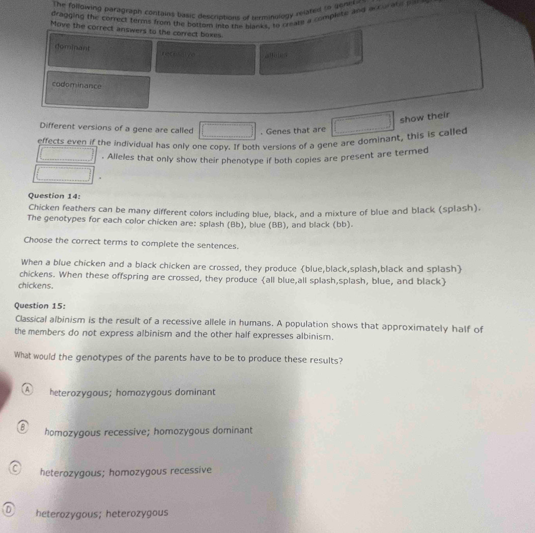 The following paragraph contains basic descriptions of terminology related to genetic
dragging the correct terms from the bottom into the blanks, to create a complete and accurate plr
Move the correct answers to the correct boxes
dominant recesiive
alfoles
codominance
show their
Different versions of a gene are called
. Genes that are
effects even if the individual has only one copy. If both versions of a gene are dominant, this is called
. Alleles that only show their phenotype if both copies are present are termed
Question 14:
Chicken feathers can be many different colors including blue, black, and a mixture of blue and black (splash).
The genotypes for each color chicken are: splash (Bb), blue (BB), and black (bb).
Choose the correct terms to complete the sentences.
When a blue chicken and a black chicken are crossed, they produce blue,black,splash,black and splash
chickens. When these offspring are crossed, they produce all blue,all splash,splash, blue, and black
chickens.
Question 15:
Classical albinism is the result of a recessive allele in humans. A population shows that approximately half of
the members do not express albinism and the other half expresses albinism.
What would the genotypes of the parents have to be to produce these results?
A heterozygous; homozygous dominant
B homozygous recessive; homozygous dominant
C heterozygous; homozygous recessive
D heterozygous; heterozygous
