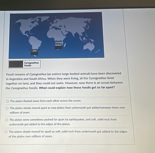 fossils Cynognathus
Fossil remains of Cynognathus (an extinct large-bodied animal) have been discovered
in Argentina and South Africa. When they were living, all the Cynognothus lived
together on land, and they could not swim. However, now there is an ocean between
the Cynognathus fossils. What could explain how these fossils got so far apart?
The plates floated away from each other across the ocean.
The plates slowly moved apart as new plates from underneath got added between them over
millions of years.
The plates were sometimes pushed far apart by earthquakes, and soft, solid rock from
underneath got added to the edges of the plates.
The plates slowly moved far apart as soft, solid rock from underneath got added to the edges
of the plates over millions of years.