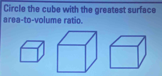 Circle the cube with the greatest surface 
area-to-volume ratio.