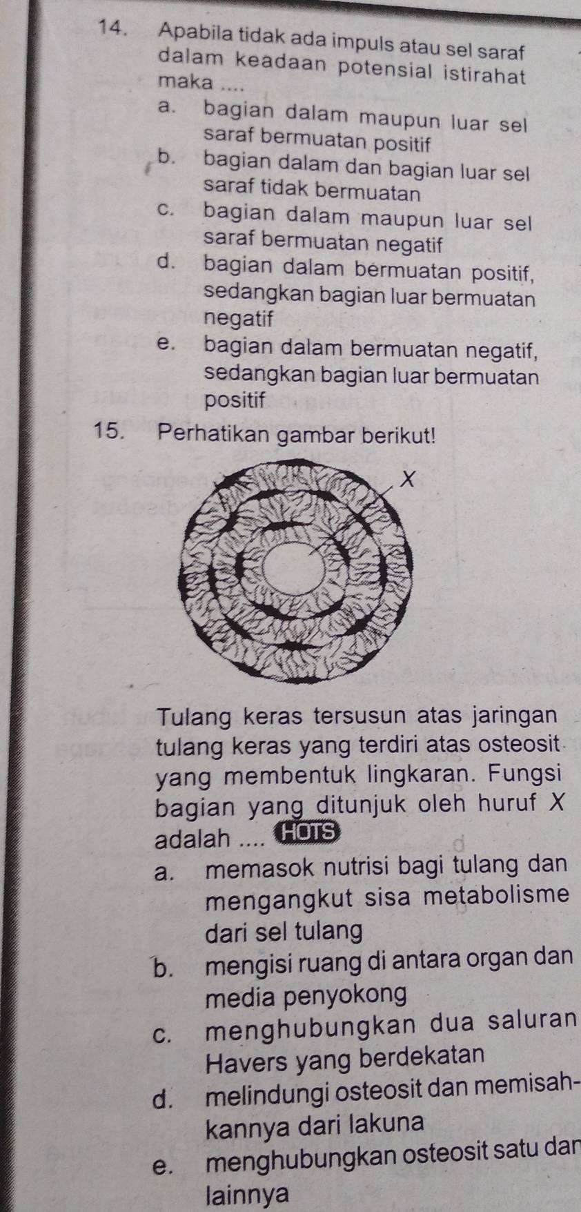 Apabila tidak ada impuls atau sel saraf
dalam keadaan potensial istirahat .
maka ....
a. bagian dalam maupun luar sel
saraf bermuatan positif
b. bagian dalam dan bagian luar sel
saraf tidak bermuatan
c. bagian dalam maupun luar sel
saraf bermuatan negatif
d. bagian dalam bermuatan positif,
sedangkan bagian luar bermuatan
negatif
e. bagian dalam bermuatan negatif,
sedangkan bagian luar bermuatan
positif
15. Perhatikan gambar berikut!
Tulang keras tersusun atas jaringan
tulang keras yang terdiri atas osteosit.
yang membentuk lingkaran. Fungsi
bagian yang ditunjuk oleh huruf X
adalah .... HOTS
a. memasok nutrisi bagi tulang dan
mengangkut sisa metabolisme
dari sel tulang
b. mengisi ruang di antara organ dan
media penyokong
c. menghubungkan dua saluran
Havers yang berdekatan
d. melindungi osteosit dan memisah-
kannya dari İakuna
e. menghubungkan osteosit satu dan
lainnya