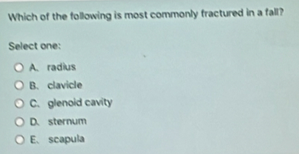 Which of the following is most commonly fractured in a fall?
Select one:
A、 radius
B. clavicle
C. glenoid cavity
D.sternum
E、 scapula