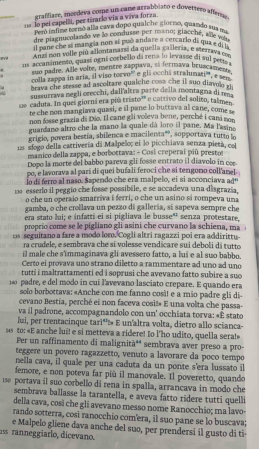 graffiare, mordeva come un cane arrabbiato e dovettero afferrar-
_110 lo pei capelli, per tirarlo via a viva forza.
Peró infine tornó alla cava dopo qualche giorno, quando sua ma-
dre piagnucolando ve lo condusse per mano; giacché, alle volte
il pane che si mangia non si può andare a cercarlo di qua e di là
eva Anzi non volle più allontanarsi da quella galleria, e sterrava con
11s accanimento, quasi ogni corbello di rena lo levasse di sul petto a
e.
o suo padre. Alle volte, mentre zappava, si fermava bruscamente,
colla zappa in aria, il viso torvo³ e gli occhi stralunati³®, e sem-
la brava che stesse ad ascoltare qualche cosa che il suo diavolo gli
biù sussurrava negli orecchi, dall’altra parte della montagna di rena
120 caduta. In quei giorni era più tristo³ e cattivo del solito, talmen-
te che non mangiava quasi, e il pane lo buttava al cane, come se
non fosse grazia di Dio. Il cane gli voleva bene, perché i cani non
guardano altro che la mano la quale dà loro il pane. Ma l’asino
grigio, povera bestia, sbilenca e macilenta⁴º, sopportava tutto lo
125 sfogo della cattiveria di Malpelo; ei lo picchiava senza pietà, col
manico della zappa, e borbottava: - Così creperai più presto!
Dopo la morte del babbo pareva gli fosse entrato il diavolo in cor-
po, e lavorava al pari di quei bufali feroci che si tengono coll’anel-
Io di ferro al naso. Šapendo che era malpelo, ei si acconciava adª
130 esserlo il peggio che fosse possibile, e se accadeva una dìsgrazia.
o che un operaio smarriva i ferri, o che un asino si rompeva una
gamba, o che crollava un pezzo di galleria, si sapeva sempre che
G era stato lui; e infatti ei si pigliava le busse⁴² senza protestare,
proprio come se le pigliano gli asini che curvano la schiena, ma
135 seguitano a fare a modo loro. Cogli altri ragazzi poi era addirittu-
ra crudele, e sembrava che si volesse vendicare sui deboli di tutto
il male che s’immaginava gli avessero fatto, a lui e al suo babbo.
Certo ei provava uno strano diletto a rammentare ad uno ad uno
tutti i maltrattamenti ed i soprusi che avevano fatto subire a suo
140 padre, e del modo in cui l’avevano lasciato crepare. E quando era
solo borbottava: «Anche con me fanno così! e a mio padre gli di-
cevano Bestia, perché ei non faceva così!» E una volta che passa-
va il padrone, accompagnandolo con un’ occhiata torva: «È stato
lui, per trentacinque tarì⁴³!» E un’altra volta, dietro allo scianca-
145 to: «E anche lui! e si metteva a ridere! Io l’ho udito, quella sera!»
Per un raffinamento di malignità⁴ª sembrava aver preso a pro-
teggere un povero ragazzetto, venuto a lavorare da poco tempo
nella cava, il quale per una caduta da un ponte særa lussato il
femore, e non poteva far più il manovale. Il poveretto, quando
150 portava il suo corbello di rena in spalla, arrancava in modo che
sembrava ballasse la tarantella, e aveva fatto ridere tutti quelli
della cava, così che gli avevano messo nome Ranocchio; ma lavo-
rando sotterra, così ranocchio comera, il suo pane se lo buscava;
e Malpelo gliene dava anche del suo, per prendersi il gusto di ti-
155 ranneggiarlo, dicevano.