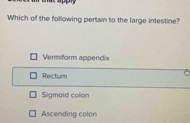 Which of the following pertain to the large intestine?
Vermiform appendix
Rectum
Sigmoid colon
Ascending colon