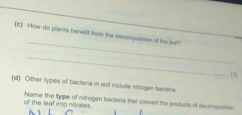 How do plants benefit from the decomposition of the leaf? 
_ 
[1] 
(d) Other types of bacteria in soil include nitrogen bacteria. 
Name the type of nitrogen bacteria that convert the products of decomposition 
of the leaf into nitrates.