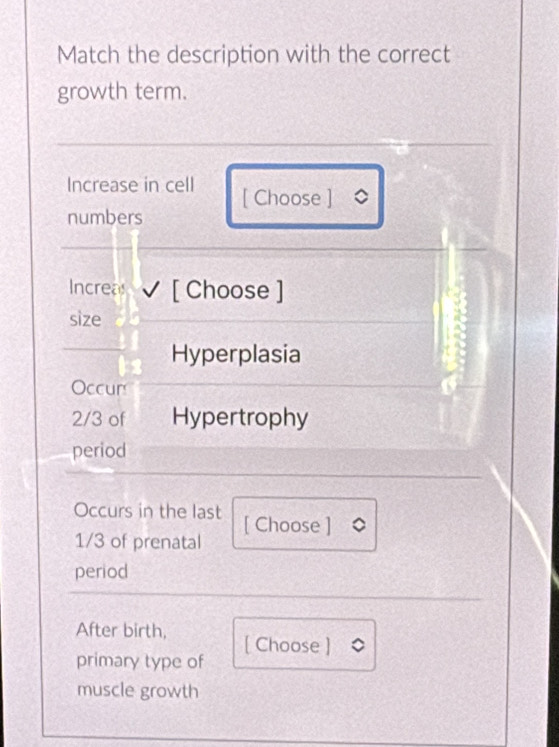 Match the description with the correct 
growth term. 
Increase in cell [ Choose ] 
numbers 
Increas [ Choose ] 
size 
Hyperplasia 
Occur
2/3 of Hypertrophy 
period 
Occurs in the last [ Choose ]
1/3 of prenatal 
period 
After birth, [ Choose ] 
primary type of 
muscle growth