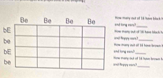 How ma out of 16 hav lack 
Be Be Be Be and long ears?_ 
bE How many out of 18 have black he 
be 
and Hoppy ears?_ 
Hew many out of 16 have brown 
bE 
and long ears?_ 
Now many out of 16 have brown h 
be and floppy ears?_