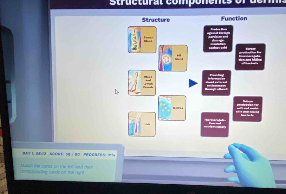 Structural components of de r 
DAY 1, 08:12 SCORE: 58 / 80 PROGRESS: 91% 
Match the cards on the left with their 
corresponding cards on the right