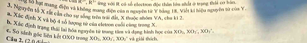 R^(2+), R^(3+) ứng với R có số electron độc thân lớn nhất ở trạng thái cơ bản.
* ' Số hạt mang điện và không mang điện của n nguyên tử Y bằng 18. Viết kí hiệu nguyên tử của Y.
3. Nguyên tố X rất cần cho sự sống trên trái đất, X thuộc nhóm VA, chu kì 2.
a. Xác định X và bộ 4 số lượng tử của eletron cuối cùng trong X.
b. Xác định trạng thái lai hóa nguyên tử trung tâm và dạng hình học của XO_2, XO_2^(-, XO_2^+. 
c. So sánh góc liên kết OXO trong XO_2), XO_2, XO_2 và giải thích.
Câu 2. (2.0 điểm)