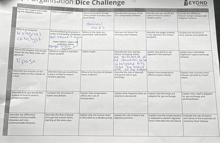 Organisation Dice Challenge 
1 EYOND
6 of