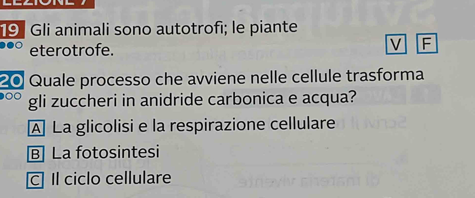 Gli animali sono autotrofi; le piante
eterotrofe.
V F
20 Quale processo che avviene nelle cellule trasforma
gli zuccheri in anidride carbonica e acqua?
A La glicolisi e la respirazione cellulare
B] La fotosintesi
C] Il ciclo cellulare