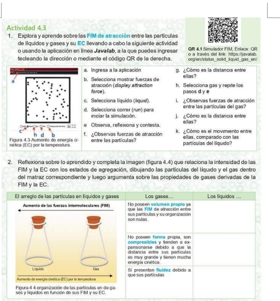 Actividad 4.3
1. Explora y aprende sobre las FIM de atracción entre las partículas
de líquidos y gases y su EC llevando a cabo la siguiente actividad QR 4.1 Simulador FIM, Enlace: QR
o usando la aplicación en línea Java/ab, a la que puedes ingresar o a través del link: https://javalab.
tecleando la dirección o mediante el código QR de la derecha. org/en/status_solid_li quid_gas_en/
a. Ingresa a la aplcación g.  Cómo es la distancia entre
a
b. Selecciona mostrar fuerzas de ellas?
atracción (display attraction h. Selecciona gas y repite los
force). pasos d y e
c. Selecciona liquido (líquid). i  Observas fuerzas de atracción
d. Selecciona correr (run) para entre las partículas del gas?
iniciar la simulación. j.  Cómo es la distancia entre
w : e Observa, reflexiona y contesta. ellas?
C k.   Cómo es el movimiento entre
b f. ¿Observas fuerzas de atracción
Figura 4.3 Aumento de energía ci- ellas, comparado con las
nética (EC) por la temperatura. entre las partículas? partículas del liquido?
2. Reflexiona sobre lo aprendido y completa la imagen (figura 4.4) que relaciona la intensidad de las
FIM y la EC con los estados de agregación, dibujando las partículas del líquido y el gas dentro
del matraz correspondiente y luego argumenta sobre las propiedades de gases derivadas de la
FIM y la EC.
El arreglo de las partículas en líquidos y gases Los gases... Los líquidos ...
No poseen volumen propio ya
Aumento de las fuerzas intermoleculares (FIM) que las FIM de atracción entre
son nulas. sus partículas y su organización
No poseen forma propia, son
compresibles v tonden a ex-
pansionarse debido a que la
distancia entre sus partículas
es muy grande y tienen mucha
energía cinética
Liquido Gas Sí presentan fluídez debido a
Aumento de energía cinética (EC) por la temperatura que sus partículas
Figura 4 4 organización de las partículas en de ga-
ses y líquidos en función de sus FIM y su EC.