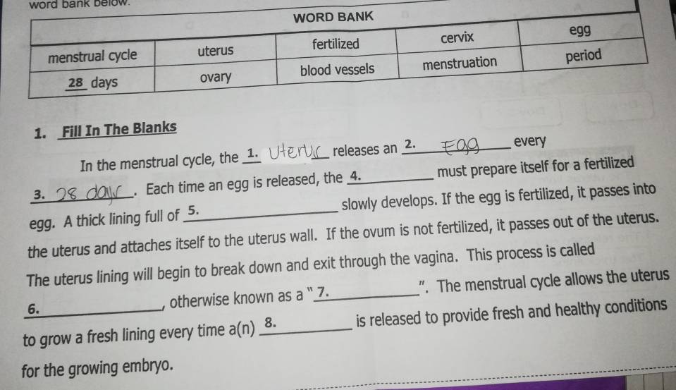 word bank below. 
1. Fill In The Blanks 
In the menstrual cycle, the _1. _releases an 2._ every 
3. 
. Each time an egg is released, the 4. must prepare itself for a fertilized 
egg. A thick lining full of _5. slowly develops. If the egg is fertilized, it passes into 
the uterus and attaches itself to the uterus wall. If the ovum is not fertilized, it passes out of the uterus. 
The uterus lining will begin to break down and exit through the vagina. This process is called 
6. _". The menstrual cycle allows the uterus 
, otherwise known as a ' 7. 
to grow a fresh lining every time a(n) _8. is released to provide fresh and healthy conditions 
for the growing embryo.