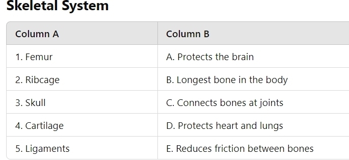 Skeletal System