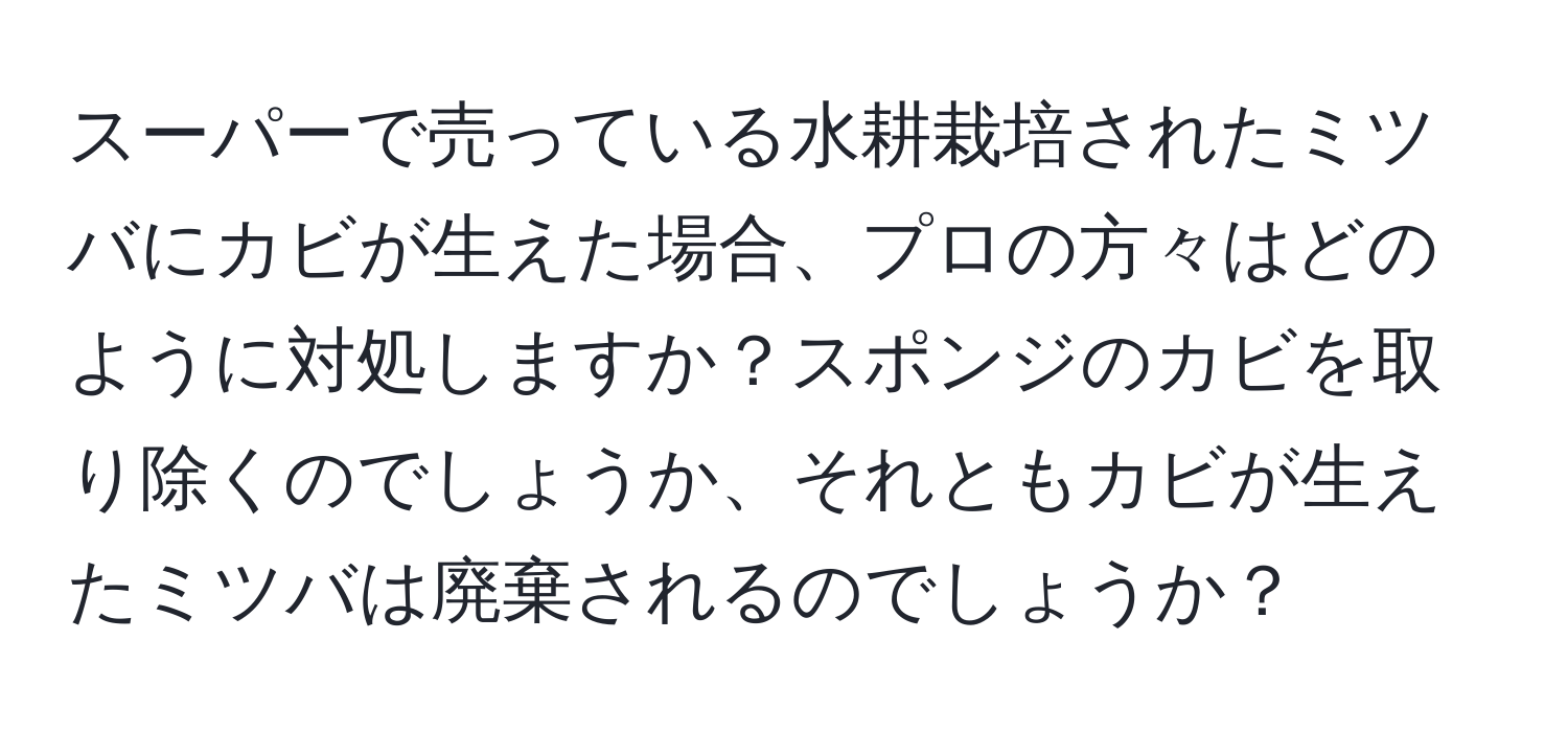 スーパーで売っている水耕栽培されたミツバにカビが生えた場合、プロの方々はどのように対処しますか？スポンジのカビを取り除くのでしょうか、それともカビが生えたミツバは廃棄されるのでしょうか？