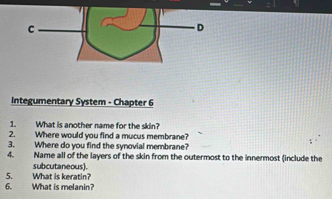 Integumentary System - Chapter 6 
1. What is another name for the skin? 
2. Where would you find a mucus membrane? 
3. Where do you find the synovial membrane? 
4、 Name all of the layers of the skin from the outermost to the innermost (include the 
subcutaneous). 
5. What is keratin? 
6. What is melanin?