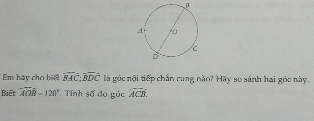 Em hãy cho biết widehat BAC; widehat BDC là góc nội tiếp chắn cung nào? Hãy so sánh hai góc này. 
Biết widehat AOB=120°. Tính số đo góc widehat ACB.