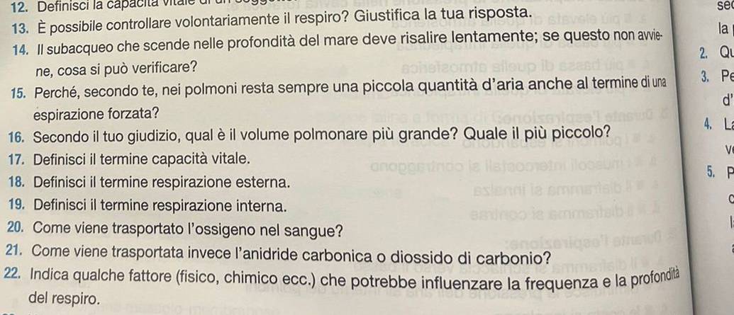 Definisci la capacita vitale di 
13. È possibile controllare volontariamente il respiro? Giustifica la tua risposta. se 
14. Il subacqueo che scende nelle profondità del mare deve risalire lentamente; se questo non awvie- la 
2. Qu 
ne, cosa si può verificare? 
15. Perché, secondo te, nei polmoni resta sempre una piccola quantità d’aria anche al termine di una 3. Pe 
d 
espirazione forzata? 4、 L 
16. Secondo il tuo giudizio, qual è il volume polmonare più grande? Quale il più piccolo? 
V 
17. Definisci il termine capacità vitale. 5. P 
18. Definisci il termine respirazione esterna. 
19. Definisci il termine respirazione interna. 
C 
| 
20. Come viene trasportato l’ossigeno nel sangue? 
21. Come viene trasportata invece l’anidride carbonica o diossido di carbonio? 
22. Indica qualche fattore (fisico, chimico ecc.) che potrebbe influenzare la frequenza e la profondità 
del respiro.