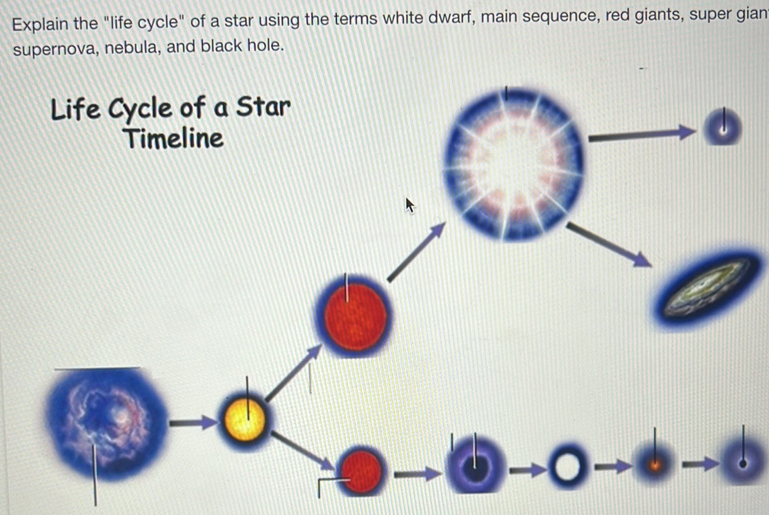 Explain the "life cycle" of a star using the terms white dwarf, main sequence, red giants, super gian 
supernova, nebula, and black hole.