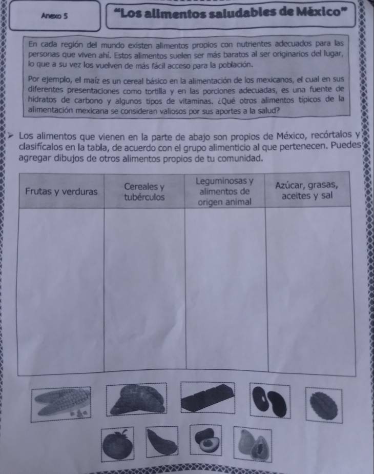 Anexo 5 “Los alimentos saludables de México” 
En cada región del mundo existen alimentos propios con nutrientes adecuados para las 
personas que viven ahí. Estos alimentos suelen ser más baratos al ser originarios del lugar, 
Por ejemplo, el maíz es un cereal básico en la alimentación de los mexicanos, el cual en sus 8 
lo que a su vez los vuelven de más fácil acceso para la población. 
diferentes presentaciones como tortilla y en las porciones adecuadas, es una fuente de 
hidratos de carbono y algunos típos de vitaminas. ¿Qué otros alimentos típicos de la 
alimentación mexicana se consideran valiosos por sus aportes a la salud? 
Los alimentos que vienen en la parte de abajo son propios de México, recórtalos y 
clasifícalos en la tabla, de acuerdo con el grupo alimenticio al que pertenecen. Puedes 
agregar dibujos de otros alimentos propios de tu comunidad.