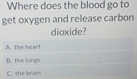 Where does the blood go to
get oxygen and release carbon
dioxide?
A. the heart
B. the lungs
C. the brain