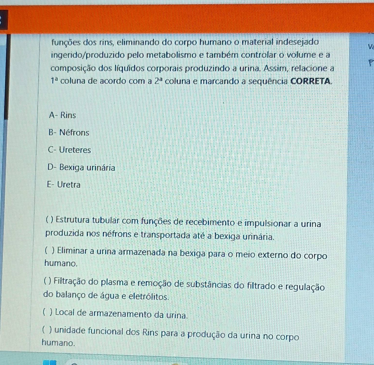 funções dos rins, eliminando do corpo humano o material indesejado
V
ingerido/produzido pelo metabolismo e também controlar o volume e a
P
composição dos líquidos corporais produzindo a urina. Assim, relacione a
1^a coluna de acordo com a 2^a coluna e marcando a sequência CORRETA.
A- Rins
B- Néfrons
C- Ureteres
D- Bexiga urinária
E- Uretra
( ) Estrutura tubular com funções de recebimento e impulsionar a urina
produzida nos néfrons e transportada até a bexiga urinária.
 ) Eliminar a urina armazenada na bexiga para o meio externo do corpo
humano.
 ) Filtração do plasma e remoção de substâncias do filtrado e regulação
do balanço de água e eletrólitos.
 ) Local de armazenamento da urina.
( ) unidade funcional dos Rins para a produção da urina no corpo
humano.