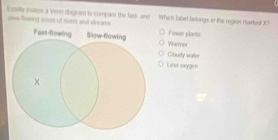 stele makes a Vern diagran) to compani the fast and - Which label belongs in the region marked X?
slow-flowing sroas of rivers and streams
Fewer plants
Warmer
Cloudy water
Less oxygen