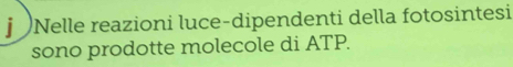 jNelle reazioni luce-dipendenti della fotosintesi 
sono prodotte molecole di ATP.