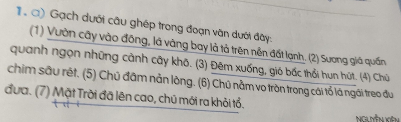 Gạch dưới câu ghép trong đoạn văn dưới đây: 
(1) Vườn cây vào đông, lá vàng bay lả tả trên nền đất lạnh. (2) Sương giá quấn 
quanh ngọn những cành cây khô. (3) Đêm xuống, gió bấc thổi hun hút. (4) Chú 
chim sâu rét. (5) Chú đâm nản lòng. (6) Chú nằm vo tròn trong cái tổ lá ngái treo đu 
đưa. (7) Mặt Trời đã lên cao, chú mới ra khỏi tổ.