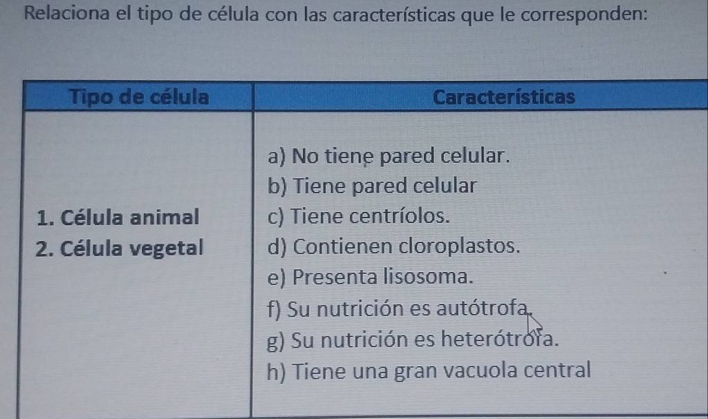 Relaciona el tipo de célula con las características que le corresponden: