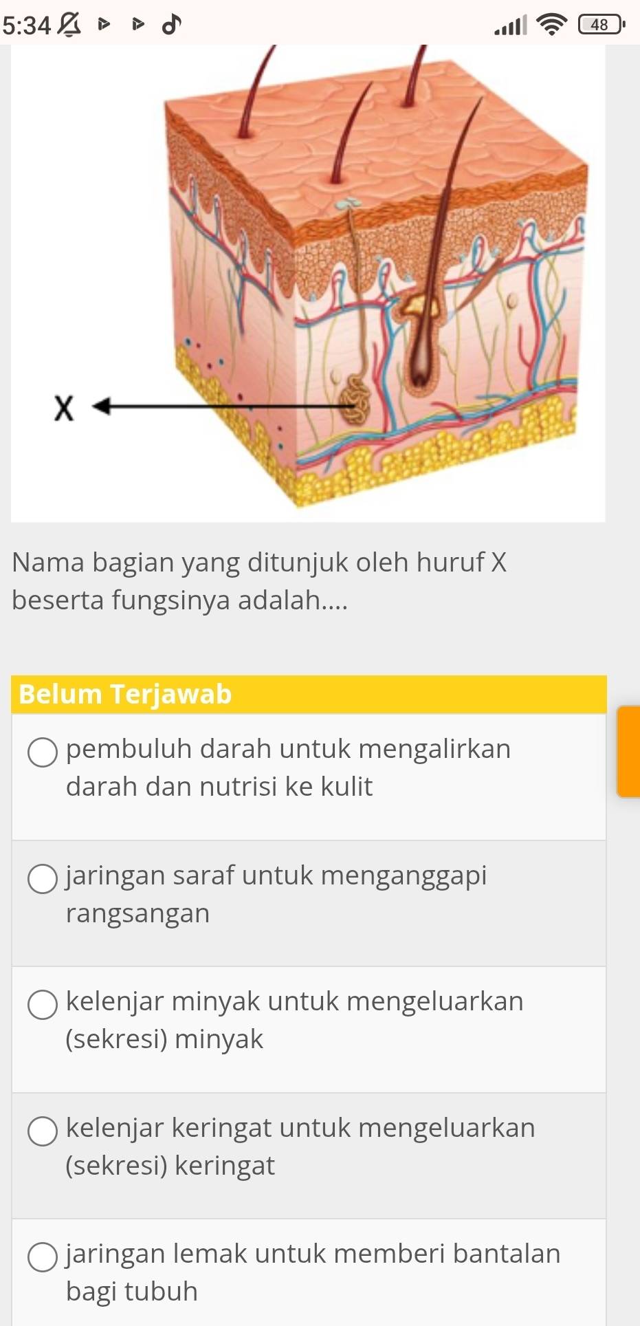 5:34 2
48
Nama bagian yang ditunjuk oleh huruf X
beserta fungsinya adalah....
Belum Terjawab
pembuluh darah untuk mengalirkan
darah dan nutrisi ke kulit
jaringan saraf untuk menganggapi
rangsangan
kelenjar minyak untuk mengeluarkan
(sekresi) minyak
kelenjar keringat untuk mengeluarkan
(sekresi) keringat
jaringan lemak untuk memberi bantalan
bagi tubuh