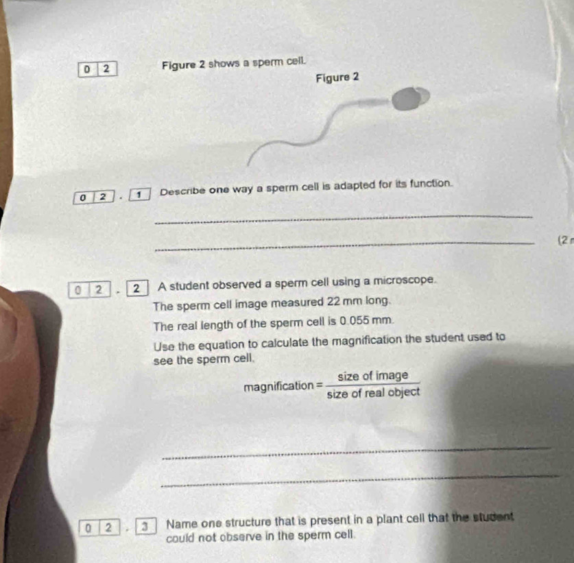 0 2 Figure 2 shows a sperm cell. 
Figure 2 
0 2 Describe one way a sperm cell is adapted for its function. 
_ 
_ 
(2 π 
0 2 , 2 A student observed a sperm cell using a microscope. 
The sperm cell image measured 22 mm long. 
The real length of the sperm cell is 0.055 mm. 
Use the equation to calculate the magnification the student used to 
see the sperm cell.
magnification= sizeofimage/sizeofrealobject 
_ 
_ 
0 2 I Name one structure that is present in a plant cell that the student 
could not observe in the sperm cell.