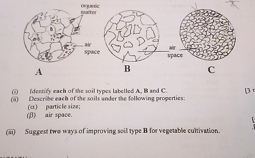 Solved: A (i) Identify each of the soil types labelled A, B and C. [3 ...