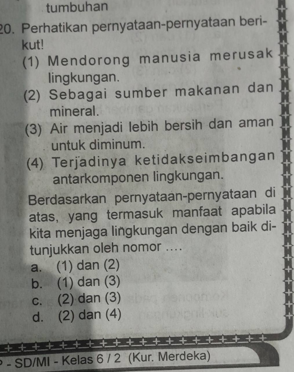 tumbuhan
20. Perhatikan pernyataan-pernyataan beri-
kut!
(1) Mendorong manusia merusak
lingkungan.
(2) Sebagai sumber makanan dan
mineral.
(3) Air menjadi lebih bersih dan aman
untuk diminum.
(4) Terjadinya ketidakseimbangan
antarkomponen lingkungan.
Berdasarkan pernyataan-pernyataan di
atas, yang termasuk manfaat apabila
kita menjaga lingkungan dengan baik di-
tunjukkan oleh nomor ....
a. (1) dan (2)
b. (1) dan (3)
c. (2) dan (3)
d. (2) dan (4)
- SD/MI - Kelas 6 / 2 (Kur. Merdeka)