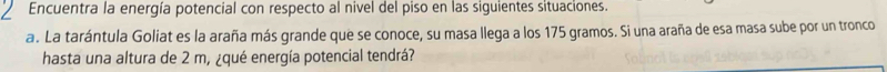 Encuentra la energía potencial con respecto al nivel del piso en las siguientes situaciones. 
a. La tarántula Goliat es la araña más grande que se conoce, su masa llega a los 175 gramos. Si una araña de esa masa sube por un tronco 
hasta una altura de 2 m, ¿qué energía potencial tendrá?