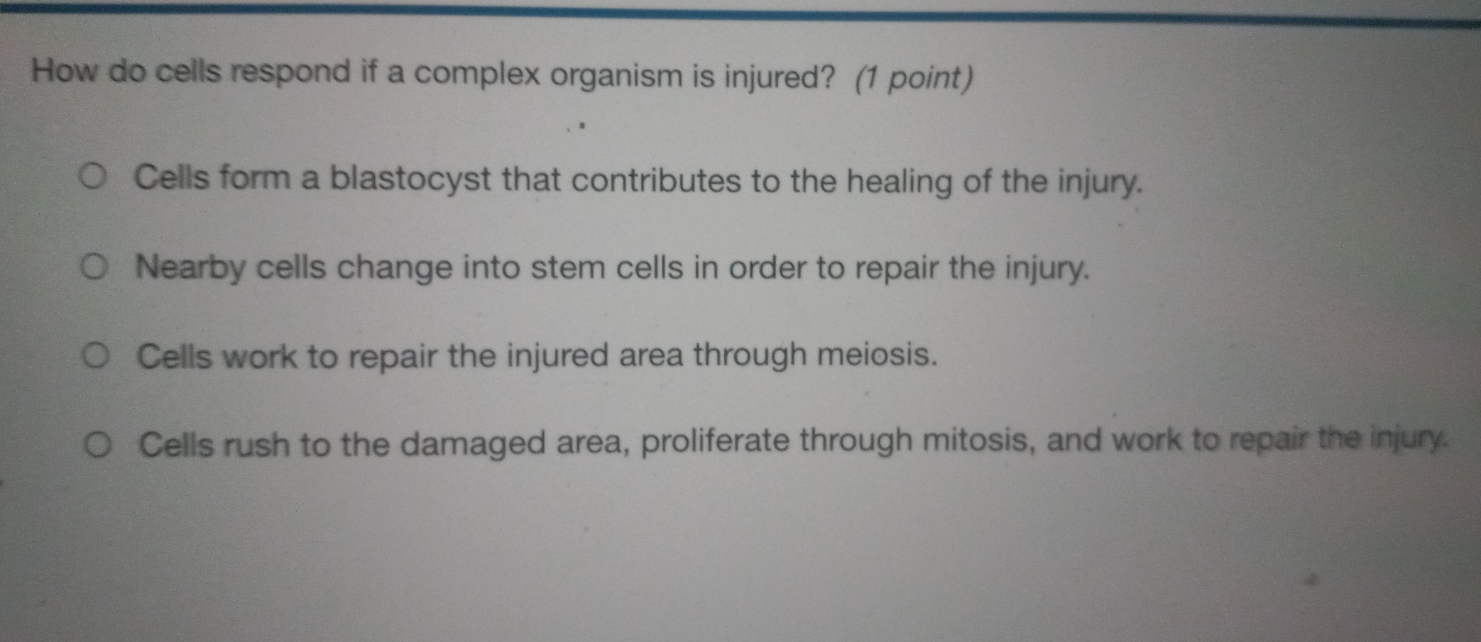 How do cells respond if a complex organism is injured? (1 point)
Cells form a blastocyst that contributes to the healing of the injury.
Nearby cells change into stem cells in order to repair the injury.
Cells work to repair the injured area through meiosis.
Cells rush to the damaged area, proliferate through mitosis, and work to repair the injury.