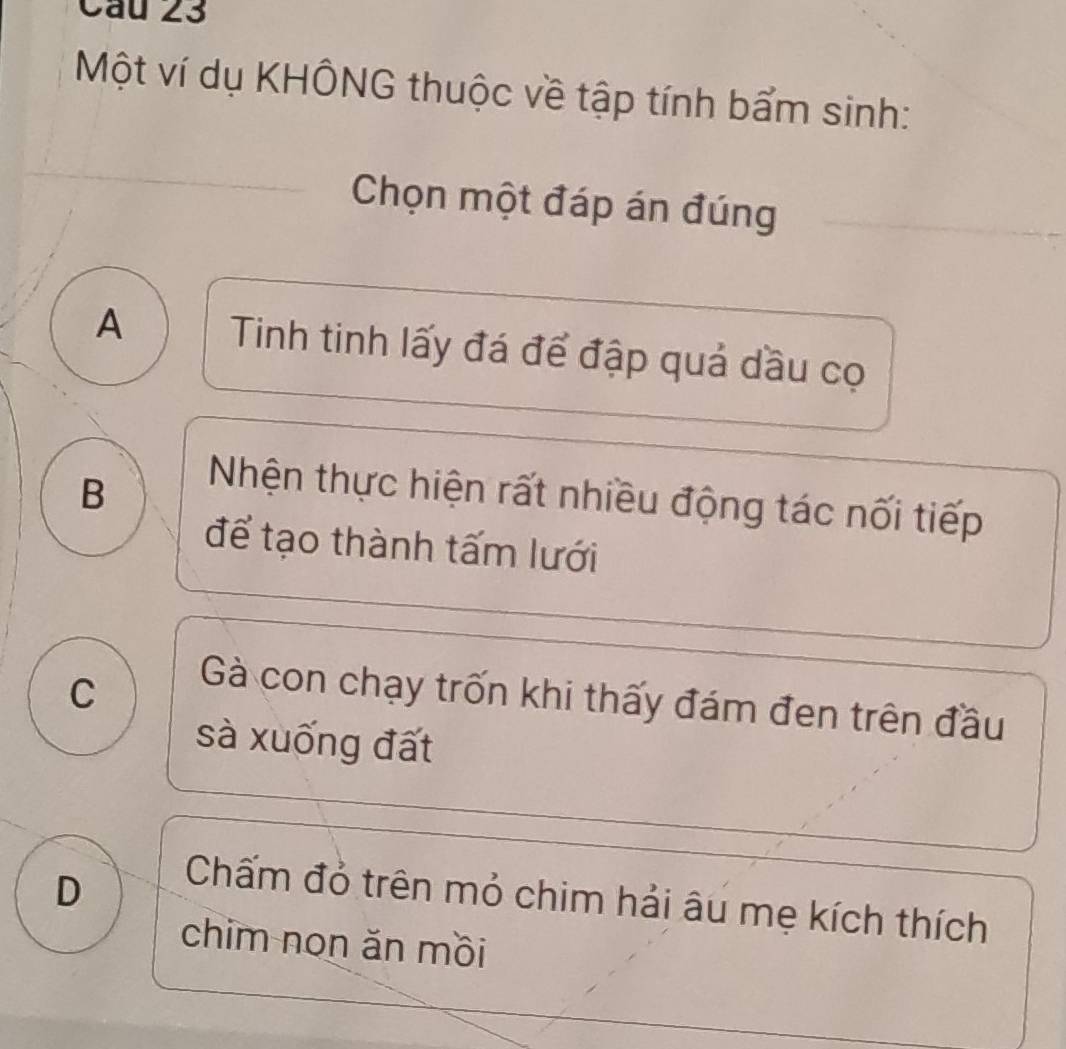 Một ví dụ KHÔNG thuộc về tập tính bẩm sinh:
Chọn một đáp án đúng
A Tinh tinh lấy đá để đập quả dầu cọ
B
Nhện thực hiện rất nhiều động tác nối tiếp
để tạo thành tấm lưới
C
Gà con chạy trốn khi thấy đám đen trên đầu
sà xuống đất
D
Chấm đỏ trên mỏ chim hải âu mẹ kích thích
chim non ǎn mồi