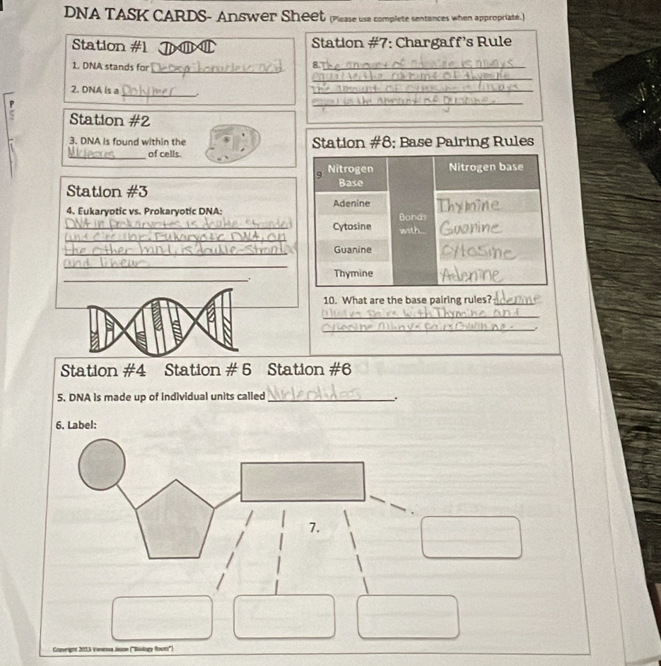 DNA TASK CARDS- Answer Sheet (Please use complete sentances when appropriate.) 
Station #1 a Station #7: Chargaff's Rule 
1. DNA stands for 
_ 
8.7_ 
_ 
2. DNA is a 
_, 
_ 
_ 
Station #2 
3. DNA is found within the Station #8; Base Pairing Rules 
_of cells. 
9 Nitrogen 
Nitrogen base 
Base 
Station #3 
Adenine 
4. Eukaryotic vs. Prokaryotic DNA: Bonds 
_ 
_Cytosine with.. a 
_ 
Guanine 
_ 
_. 
Thymine 
10. What are the base pairing rules?_ 
_ 
_ 
Station #4 Station # 5 Station #6 
5. DNA is made up of individual units called _. 
6. Label: 
7. 
Copurignt 2015 Vanessa Jason (''Biokogy Root'')