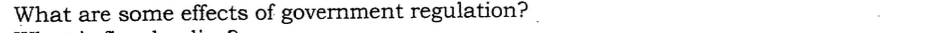 What are some effects of government regulation?