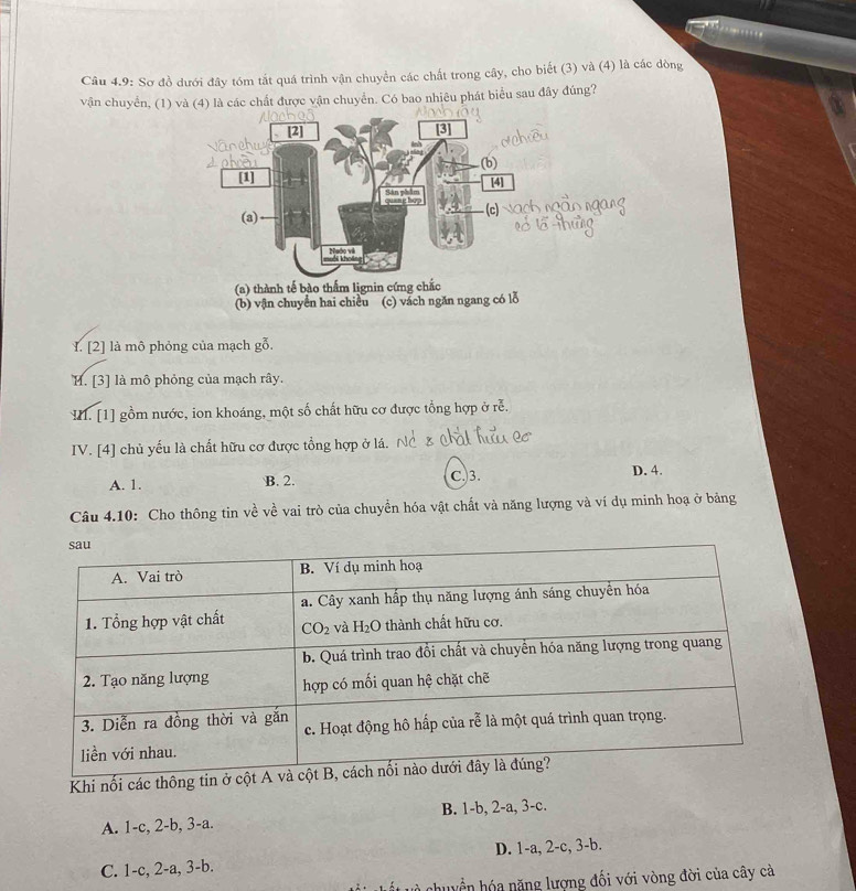 Câu 4.9: Sơ đồ dưới đây tóm tắt quá trình vận chuyển các chất trong cây, cho biết (3) và (4) là các dòng
vận chuyển, (1) và (4) là các chất được vận chuyển. Có bao nhiêu phát biểu sau đây đúng?
(b) vận chuyển hai chiều (c) vách ngăn ngang có lỗ
I. [2] là mô phỏng của mạch gỗ.
M. [3] là mô phỏng của mạch rây.
M. [1] gồm nước, ion khoáng, một số chất hữu cơ được tổng hợp ở rễ.
IV. [4] chủ yếu là chất hữu cơ được tổng hợp ở lá.
A. 1. B. 2. C.3. D. 4.
Câu 4.10: Cho thông tin về về vai trò của chuyền hóa vật chất và năng lượng và ví dụ minh hoạ ở bảng
Khi nối các thông
A. 1-c, 2-b, 3-a. B. 1-b, 2-a, 3-c.
C. 1-c, 2-a, 3-b. D. 1-a, 2-c, 3-b.
chuyển hóa năng lượng đối với vòng đời của cây cả