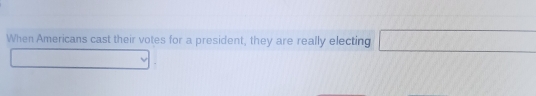 When Americans cast their votes for a president, they are really electing □