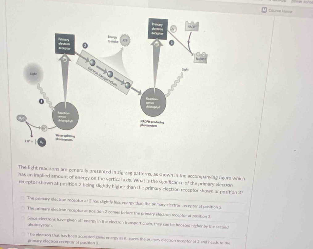 ptwer sicho
Coursa Home
The light reactions are generally presented in zig-zag patterns, as shown in the accompanying figure which
has an implied amount of energy on the vertical axis. What is the significance of the primary electron
receptor shown at position 2 being slightly higher than the primary electron receptor shown at position 3?
The primary electron receptor at 2 has slightly less energy than the primary electron receptor at position 3.
The primary electron receptor at position 2 comes before the primary electron receptor at position 3.
Since electrons have given off energy in the electron transport chain, they can be boosted higher by the second
photosystem.
The electron that has been accepted gains energy as it leaves the primary electron receptor at 2 and heads to the
primary electron receptor at position 3.