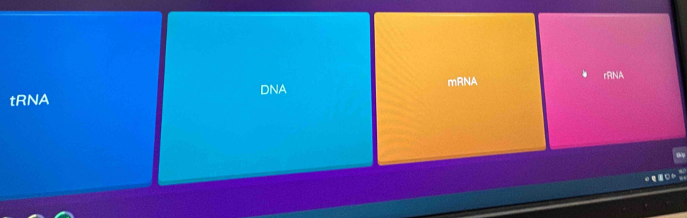 rRNA
DNA
tRNA mRNA