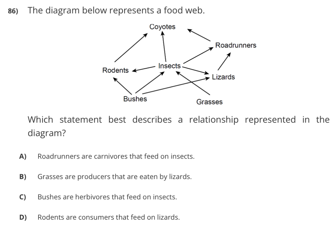Solved: The diagram below represents a food web. Which statement best ...