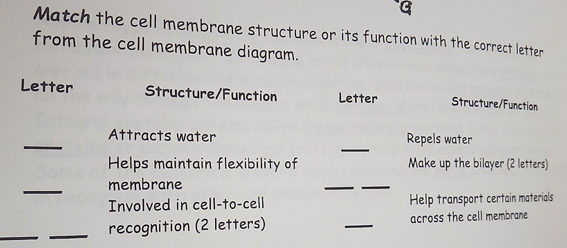 Match the cell membrane structure or its function with the correct letter 
from the cell membrane diagram. 
Letter Structure/Function Letter 
Structure/Function 
_ 
_ 
Attracts water Repels water 
Helps maintain flexibility of Make up the bilayer (2 letters) 
_ 
membrane 
__ 
Involved in cell-to-cell Help transport certain materials 
_ 
_recognition (2 letters) _across the cell membrane