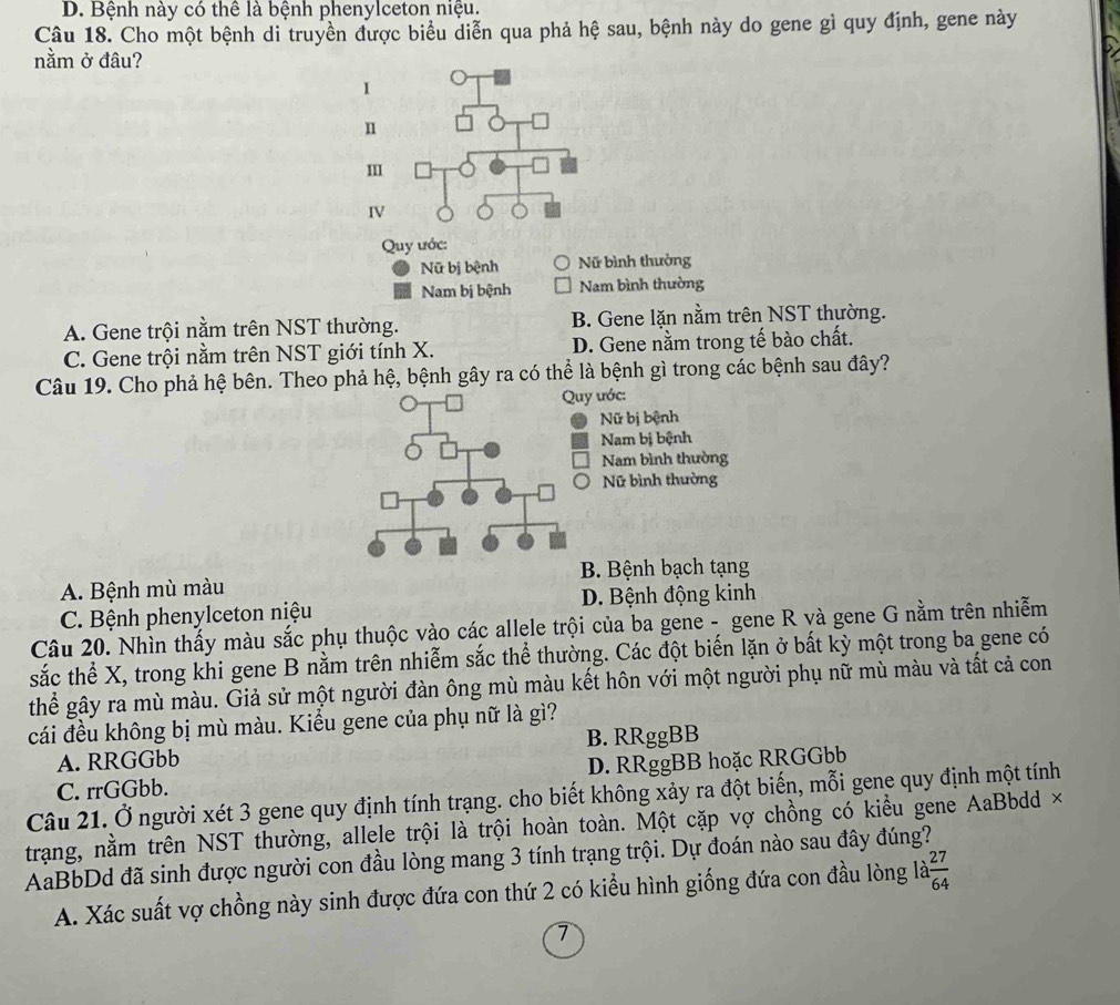 D. Bệnh này có thể là bệnh phenylceton niệu.
Câu 18. Cho một bệnh di truyền được biểu diễn qua phả hệ sau, bệnh này do gene gì quy định, gene này
nằm ở đâu?
I
n
m
IV
Quy ước:
Nữ bị bệnh Nữ bình thưởng
Nam bị bệnh Nam bình thường
A. Gene trội nằm trên NST thường. B. Gene lặn nằm trên NST thường.
C. Gene trội nằm trên NST giới tính X. D. Gene nằm trong tế bào chất.
Câu 19. Cho phả hệ bên. Theo phả hệ, bệnh gây ra có thể là bệnh gì trong các bệnh sau đây?
Quy ước:
Nữ bị bệnh
Nam bị bệnh
Nam bình thường
Nữ bình thường
A. Bệnh mù màu B. Bệnh bạch tạng
C. Bệnh phenylceton niệu D. Bệnh động kinh
Câu 20. Nhìn thấy màu sắc phụ thuộc vào các allele trội của ba gene - gene R và gene G nằm trên nhiễm
sắc thể X, trong khi gene B nằm trên nhiễm sắc thể thường. Các đột biến lặn ở bất kỳ một trong ba gene có
thể gây ra mù màu. Giả sử một người đàn ông mù màu kết hôn với một người phụ nữ mù màu và tất cả con
cái đều không bị mù màu. Kiểu gene của phụ nữ là gì?
B. RRggBB
A. RRGGbb
C. rrGGbb. D. RRggBB hoặc RRGGbb
Câu 21. Ở người xét 3 gene quy định tính trạng. cho biết không xảy ra đột biến, mỗi gene quy định một tính
trang, nằm trên NST thường, allele trội là trội hoàn toàn. Một cặp vợ chồng có kiều gene AaBbdd ×
AaBbDd đã sinh được người con đầu lòng mang 3 tính trạng trội. Dự đoán nào sau đây đúng?
A. Xác suất vợ chồng này sinh được đứa con thứ 2 có kiểu hình giống đứa con đầu lòng 1a 27/64 
7