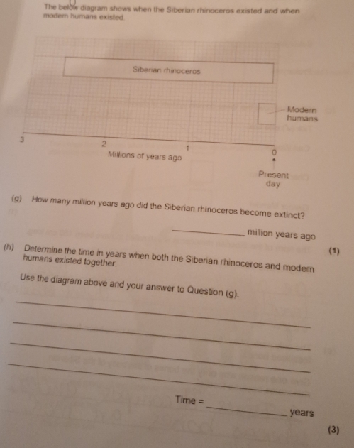 The below diagram shows when the Siberian rhinoceros existed and when 
modern humans existed. 
(g) How many million years ago did the Siberian rhinoceros become extinct? 
_
million years ago 
(1) 
(h) Determine the time in years when both the Siberian rhinoceros and modern 
humans existed together. 
_ 
Use the diagram above and your answer to Question (g). 
_ 
_ 
_ 
Time =_ years
(3)