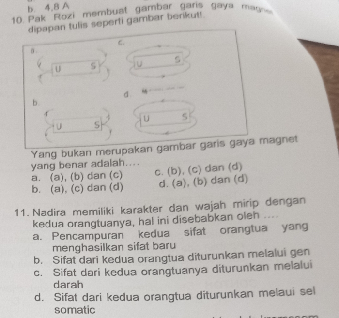 b. 4, 8 A
10. Pak Rozi membuat gambar garis gaya mag
dipapan tulis seperti gambar berikut!
C.
a
U S U S
d .
b .
U S
U s
Yang bukan merupakan gambar garis gaya magnet
yang benar adalah...
a. (a), (b) dan (c) c. (b), (c) dan (d)
b. (a), (c) dan (d) d. (a), (b) dan (d)
11. Nadira memiliki karakter dan wajah mirip dengan
kedua orangtuanya, hal ini disebabkan oleh ....
a. Pencampuran kedua sifat orangtua yang
menghasilkan sifat baru
b. Sifat dari kedua orangtua diturunkan melalui gen
c. Sifat dari kedua orangtuanya diturunkan melalui
darah
d. Sifat dari kedua orangtua diturunkan melaui sel
somatic