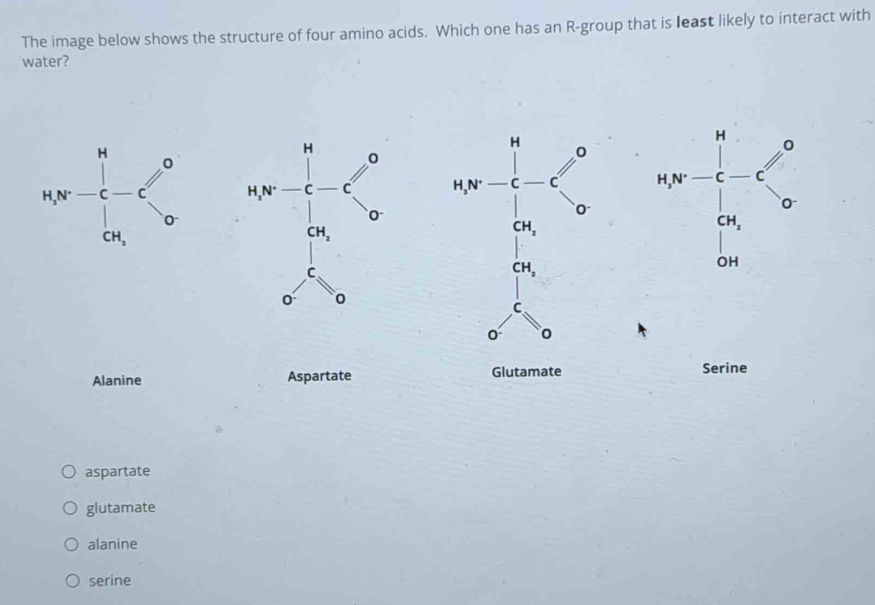 Solved: The image below shows the structure of four amino acids. Which ...