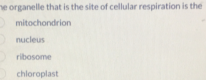 he organelle that is the site of cellular respiration is the
mitochondrion
nucleus
ribosome
chloroplast